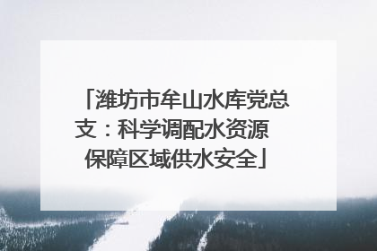 潍坊市牟山水库党总支：科学调配水资源 保障区域供水安全