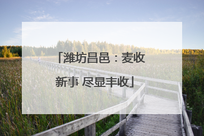 潍坊昌邑：麦收新事 尽显丰收