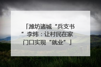 潍坊诸城“兵支书”李炜：让村民在家门口实现“就业”