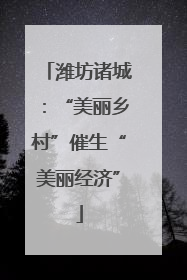 潍坊诸城：“美丽乡村”催生“美丽经济”