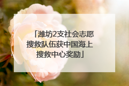 潍坊2支社会志愿搜救队伍获中国海上搜救中心奖励