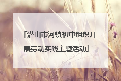 潜山市河镇初中组织开展劳动实践主题活动