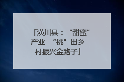 潢川县：“甜蜜”产业  “桃”出乡村振兴金路子