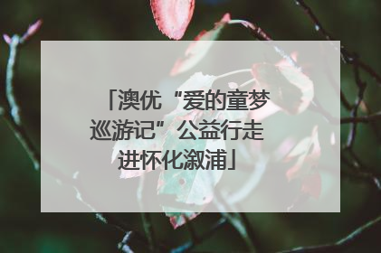 澳优“爱的童梦巡游记”公益行走进怀化溆浦