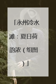 永州冷水滩：夏日荷韵浓（组图）