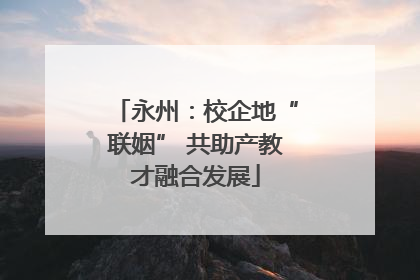 永州：校企地“联姻” 共助产教才融合发展