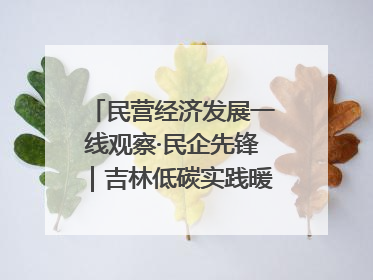 民营经济发展一线观察·民企先锋｜吉林低碳实践暖民心：太阳能供暖技术为北方清洁取暖破局