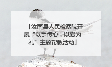汝南县人民检察院开展“以手传心，以爱为礼”主题帮教活动