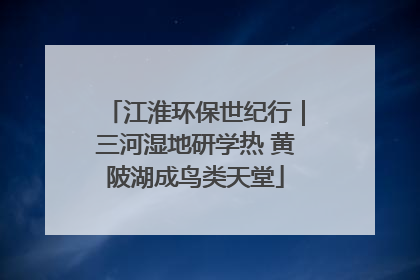 江淮环保世纪行｜三河湿地研学热 黄陂湖成鸟类天堂