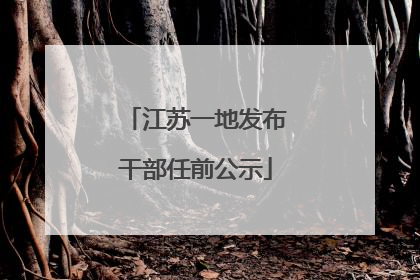 江苏一地发布干部任前公示
