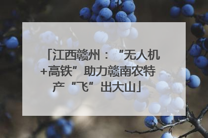 江西赣州：“无人机+高铁”助力赣南农特产“飞”出大山