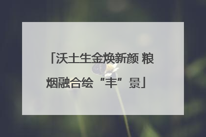 沃土生金焕新颜 粮烟融合绘“丰”景