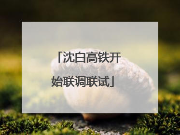 沈白高铁开始联调联试
