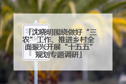 沈晓明围绕做好“三农”工作、推进乡村全面振兴开展“十五五”规划专题调研