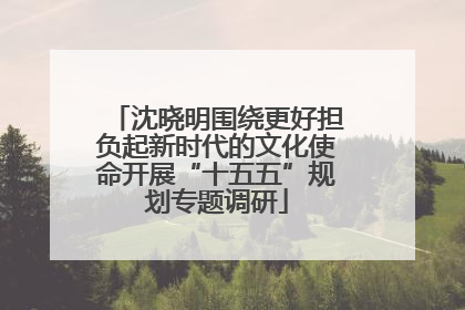 沈晓明围绕更好担负起新时代的文化使命开展“十五五”规划专题调研