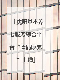 沈阳基本养老服务综合平台“盛情康养”上线