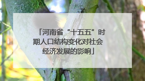 河南省“十五五”时期人口结构变化对社会经济发展的影响