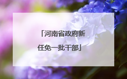 河南省政府新任免一批干部