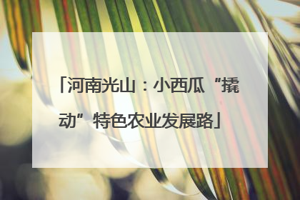 河南光山：小西瓜“撬动”特色农业发展路