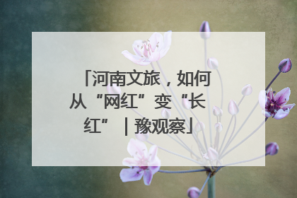 河南文旅，如何从“网红”变“长红”｜豫观察