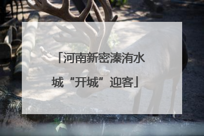 河南新密溱洧水城“开城”迎客
