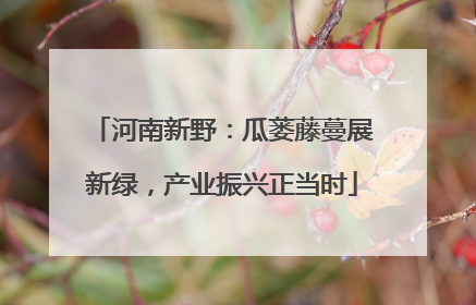 河南新野：瓜蒌藤蔓展新绿，产业振兴正当时