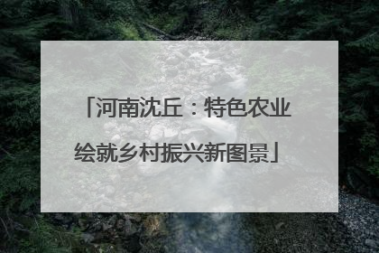 河南沈丘：特色农业绘就乡村振兴新图景