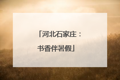 河北石家庄：书香伴暑假