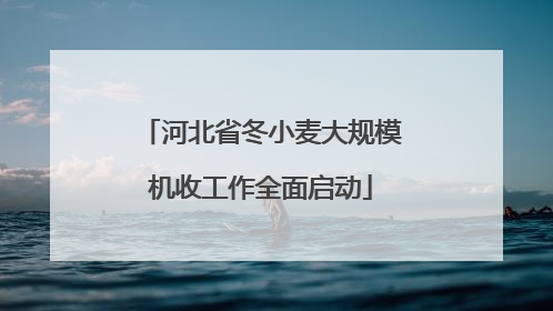 河北省冬小麦大规模机收工作全面启动