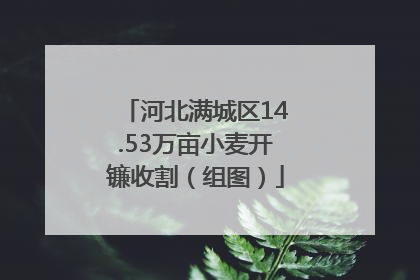 河北满城区14.53万亩小麦开镰收割（组图）