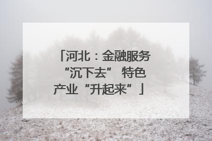 河北：金融服务“沉下去” 特色产业“升起来”