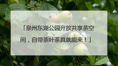 泉州东湖公园开放共享茶空间，自带茶叶茶具就能来！