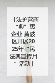 法护营商 “典”惠企业 黄陂区开展2025年“民法典宣传月”活动