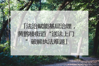 法治赋能基层治理，黄鹤楼街道“送法上门”破解执法难题