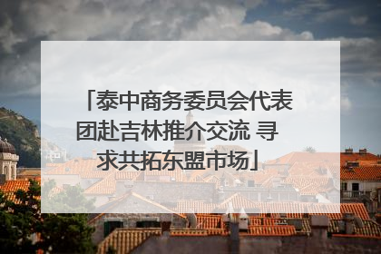 泰中商务委员会代表团赴吉林推介交流 寻求共拓东盟市场