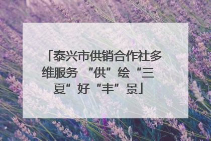 泰兴市供销合作社多维服务 “供”绘“三夏”好“丰”景
