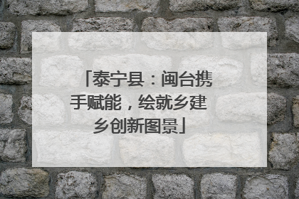 泰宁县：闽台携手赋能，绘就乡建乡创新图景