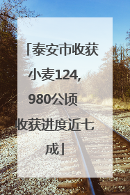 泰安市收获小麦124,980公顷 收获进度近七成