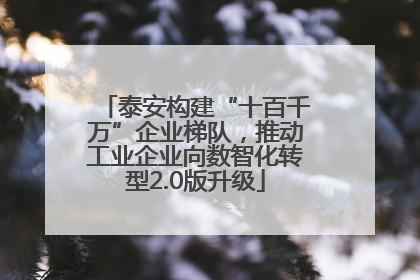 泰安构建“十百千万”企业梯队，推动工业企业向数智化转型2.0版升级
