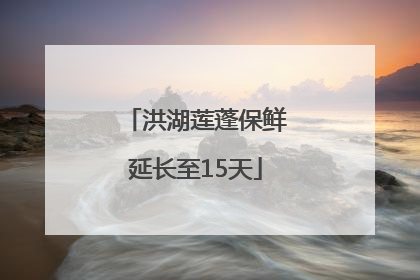 洪湖莲蓬保鲜延长至15天