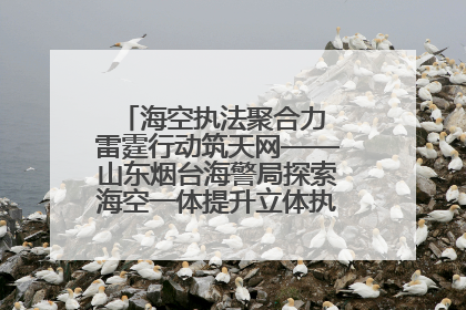海空执法聚合力 雷霆行动筑天网——山东烟台海警局探索海空一体提升立体执法效能纪实