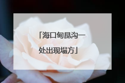 海口甸昆沟一处出现塌方