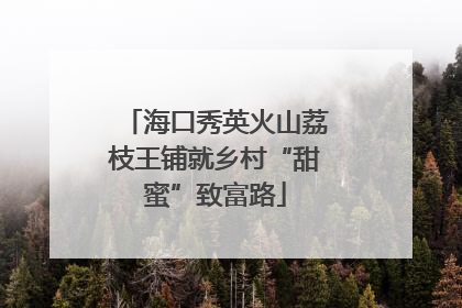 海口秀英火山荔枝王铺就乡村“甜蜜”致富路