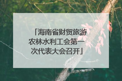海南省财贸旅游农林水利工会第一次代表大会召开