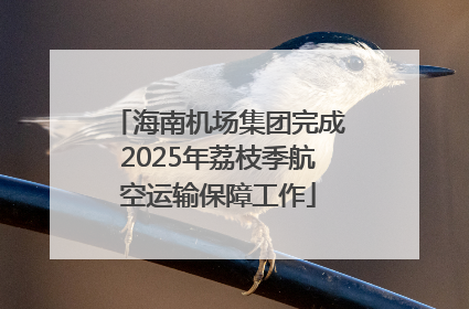 海南机场集团完成2025年荔枝季航空运输保障工作