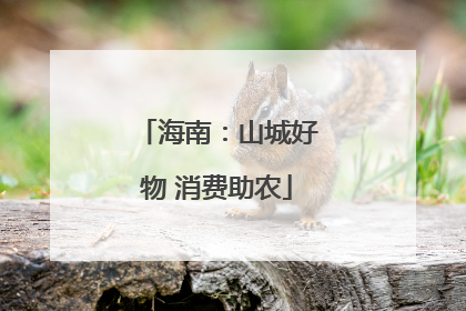 海南：山城好物 消费助农