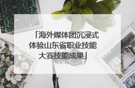 海外媒体团沉浸式体验山东省职业技能大赛技能成果