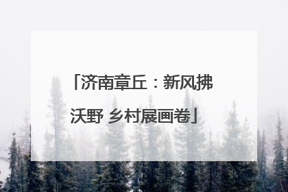 济南章丘：新风拂沃野 乡村展画卷
