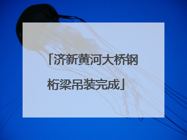 济新黄河大桥钢桁梁吊装完成