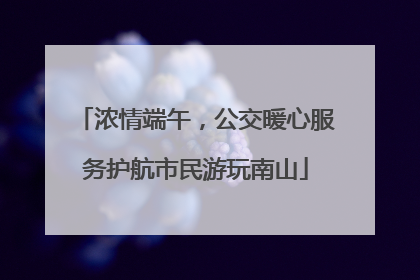 浓情端午，公交暖心服务护航市民游玩南山